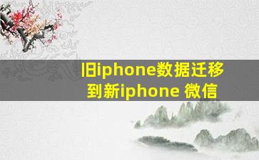 旧iphone数据迁移到新iphone 微信